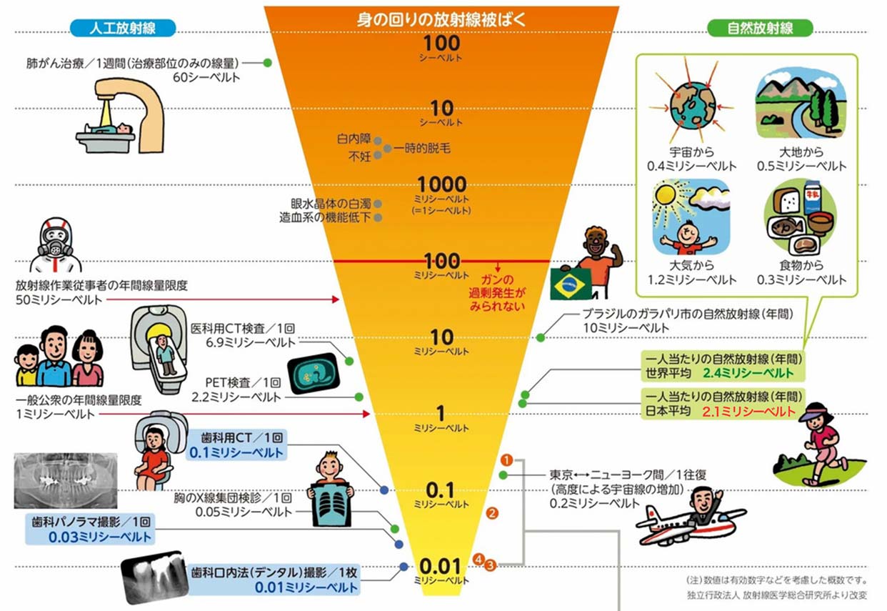 身の回りの放射線被ばくグラフ